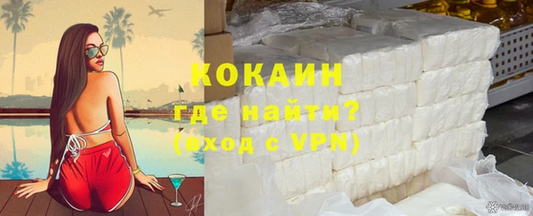 ПСИЛОЦИБИНОВЫЕ ГРИБЫ Богданович