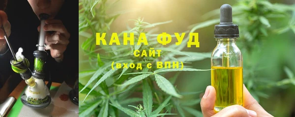 ПСИЛОЦИБИНОВЫЕ ГРИБЫ Богданович