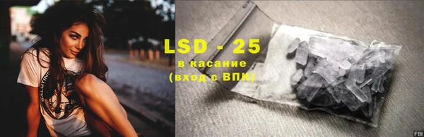 ПСИЛОЦИБИНОВЫЕ ГРИБЫ Богданович