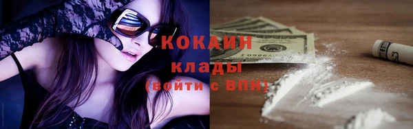 ПСИЛОЦИБИНОВЫЕ ГРИБЫ Богданович