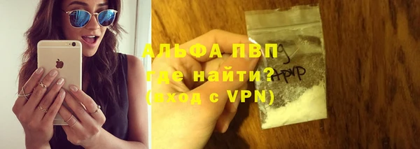 PSILOCYBIN Ростов