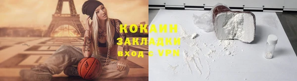 ПСИЛОЦИБИНОВЫЕ ГРИБЫ Богданович