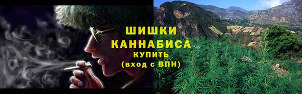 ПСИЛОЦИБИНОВЫЕ ГРИБЫ Богданович