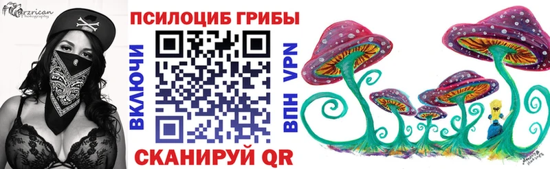 Галлюциногенные грибы Cubensis Бронницы
