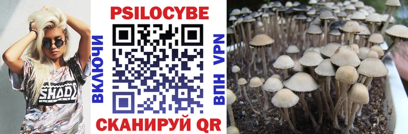 mega маркетплейс  Бронницы  Псилоцибиновые грибы GOLDEN TEACHER 